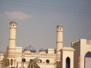 قصر بجمعية احمد عرابى التعاونية الزراعية